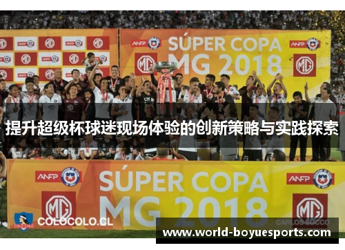 提升超级杯球迷现场体验的创新策略与实践探索
