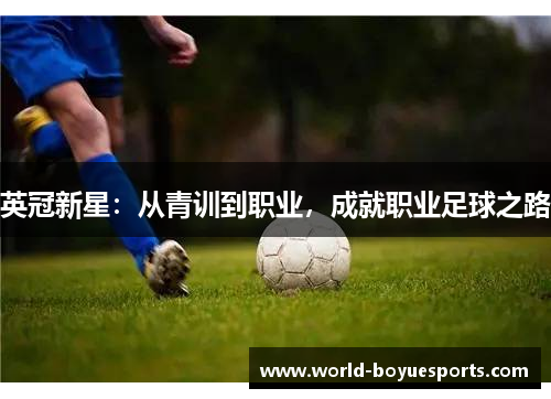 英冠新星：从青训到职业，成就职业足球之路