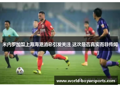 米内罗加盟上海海港消息引发关注 这次是否真实而非传闻