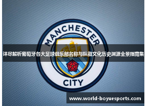 详尽解析葡萄牙各大足球俱乐部名称与队徽文化历史渊源全景指南集