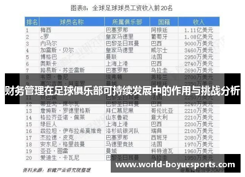 财务管理在足球俱乐部可持续发展中的作用与挑战分析