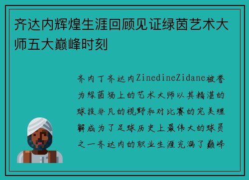 齐达内辉煌生涯回顾见证绿茵艺术大师五大巅峰时刻